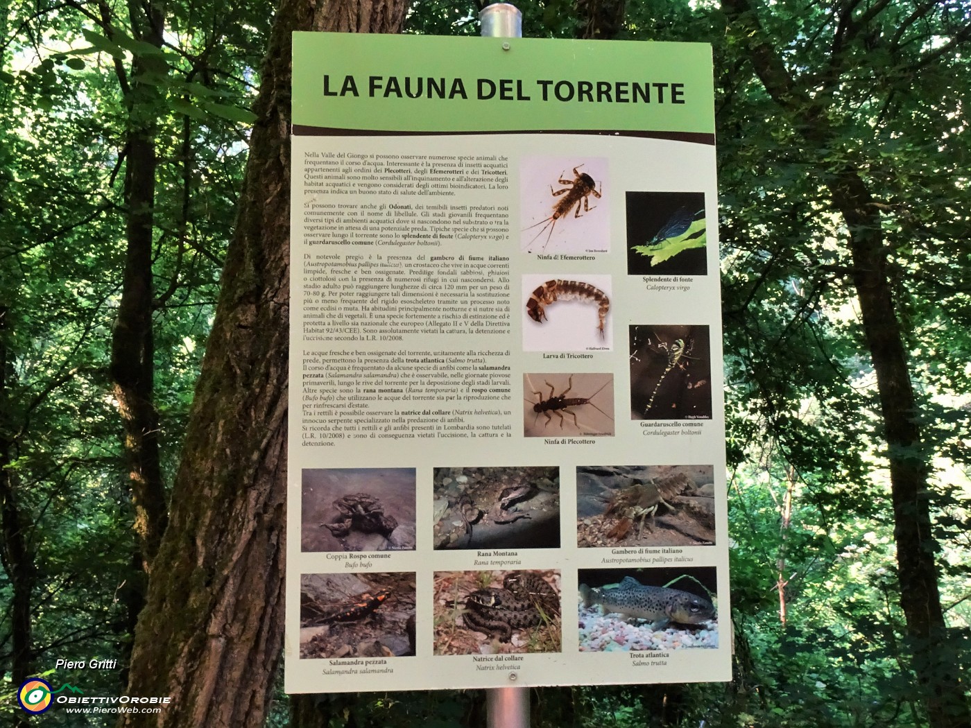 15 La fauna della Valle del Giongo.JPG